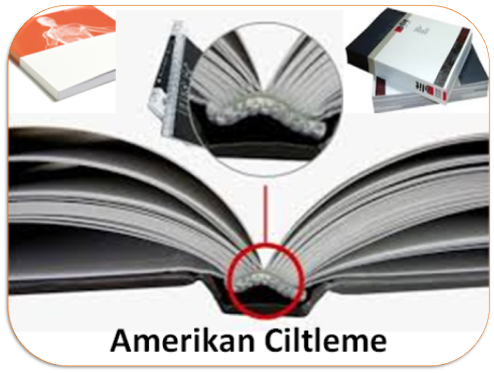 Ciltleme Çeşitleri,  Amerikan Cilt, Termal Cilt, Tutkallı Cilt, İplik Dikiş Cilt, Uzun Ömürlü Cilt, Spiral Cilt, Plastik Spiral Cilt,  Tel Spiral Cilt, Helezon Cilt, Tarak Cilt, Tel Dikiş Cilt, Zımba Cilt, Sert Kapak Cilt, Sıvama Cilt, Cilt Bezli, Özel Ciltleme İşlemleri, Selefon Kaplama Cilt, Pilyaj Cilt, Katlama Yeri İzi Cilt, Sert Kapak Cilt, Omega Tel Dikiş, Sıvama Cilt, Deri Cilt, Kumaş Cilt, Ekonomik Cilt, Mukavva Cilt, Klasik Türk Cildi, Şiraze Cilt, Geleneksel Ciltleme, Matbaa Cildi, Vidalı Cilt, Karton Cilt, Sırtlık, Kitap Sırtı, Yumuşak Kapak Ciltleme